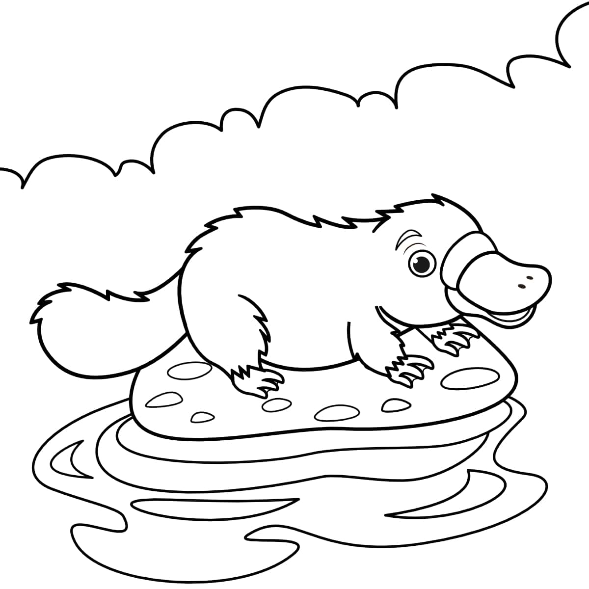perry platypus coloring pages