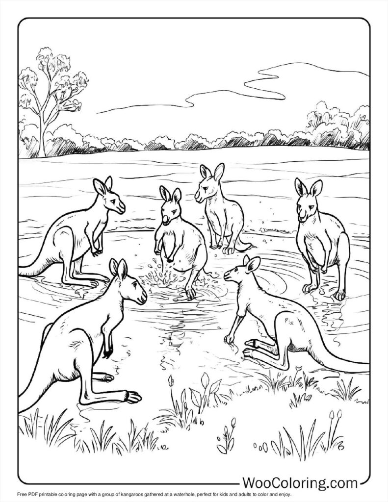 100 Kangaroo Coloring Pages Free PDF To Print Woo Coloring