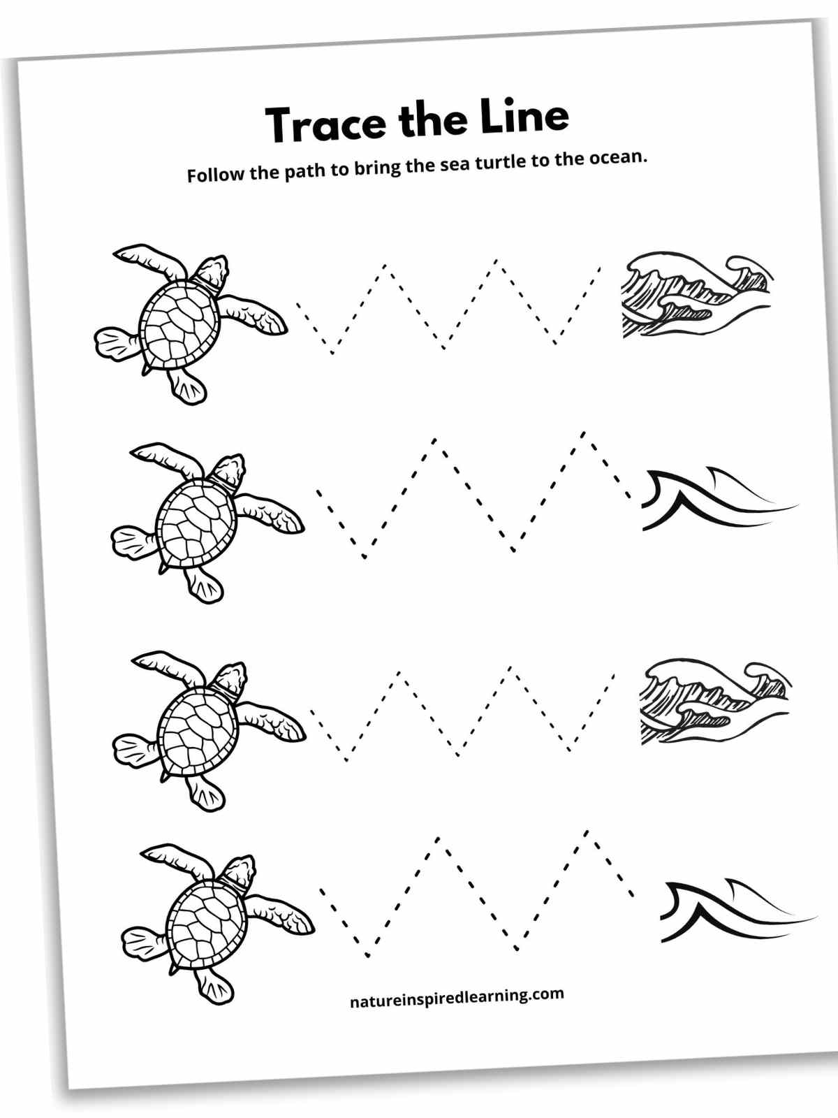 17 Line Tracing Worksheets Free Nature Inspired Learning