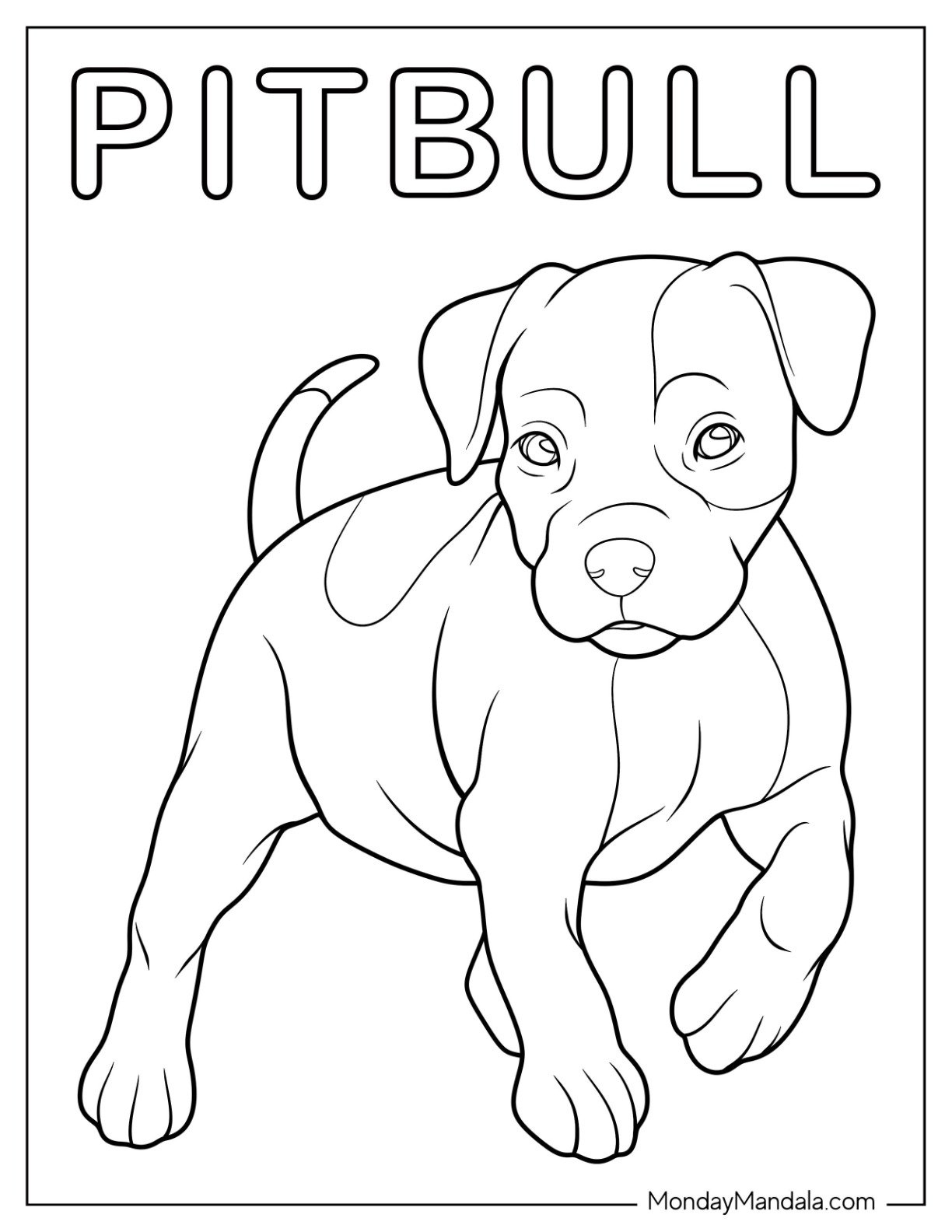 20 Pitbull Coloring Pages Free PDF Printables 