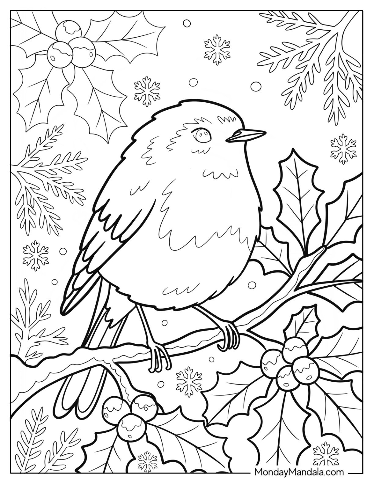 23 Robin Coloring Pages Free PDF Printables