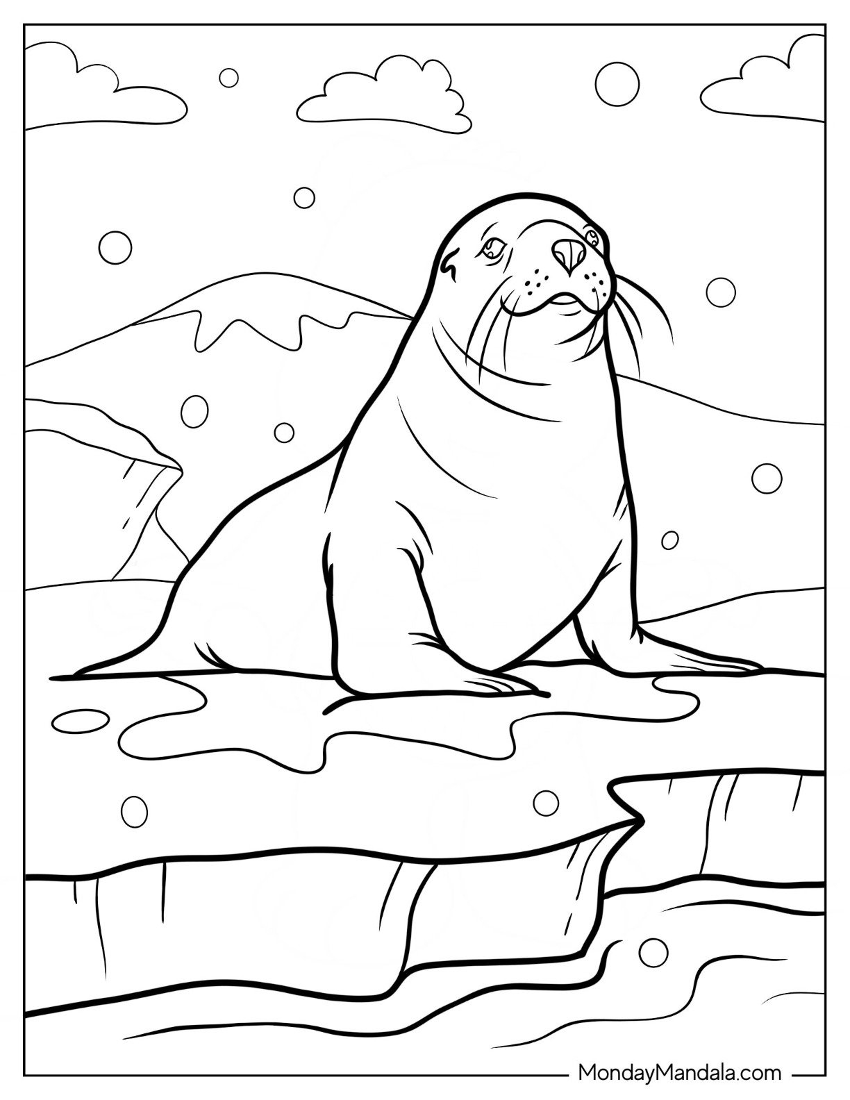 25 Seal Coloring Pages Free PDF Printables 