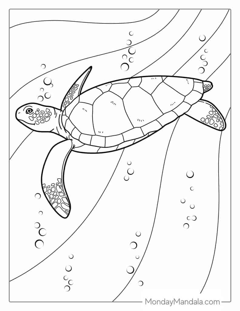 39 Turtle Coloring Pages Free PDF Printables 