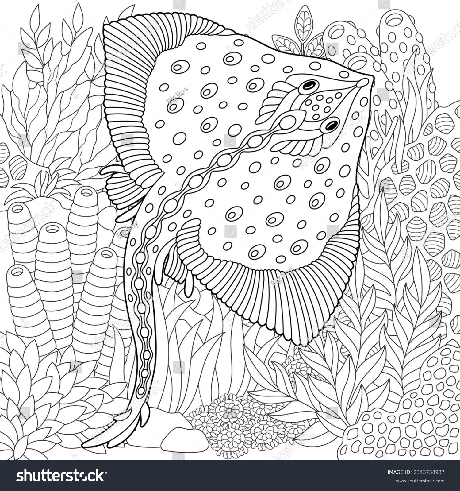 50 Sting Ray Coloring Page Stock Vectors And Vector Art Shutterstock