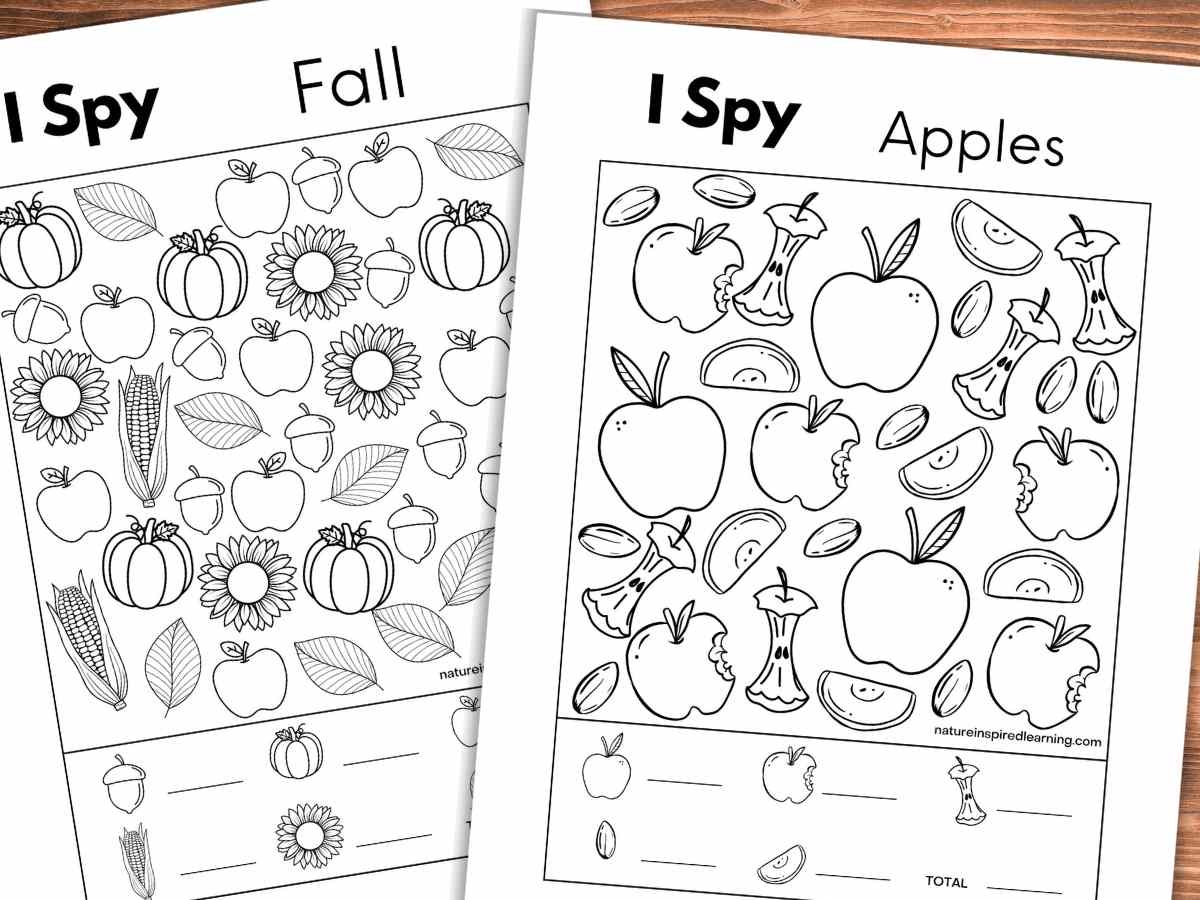 8 Fall I Spy Printables Nature Inspired Learning 8 Fall I Spy Printables Nature Inspired Learning