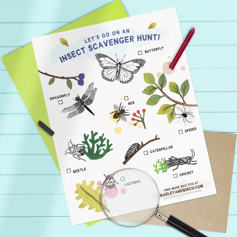 A Free Printable Bug Scavenger Hunt Set Kids Explore Nature