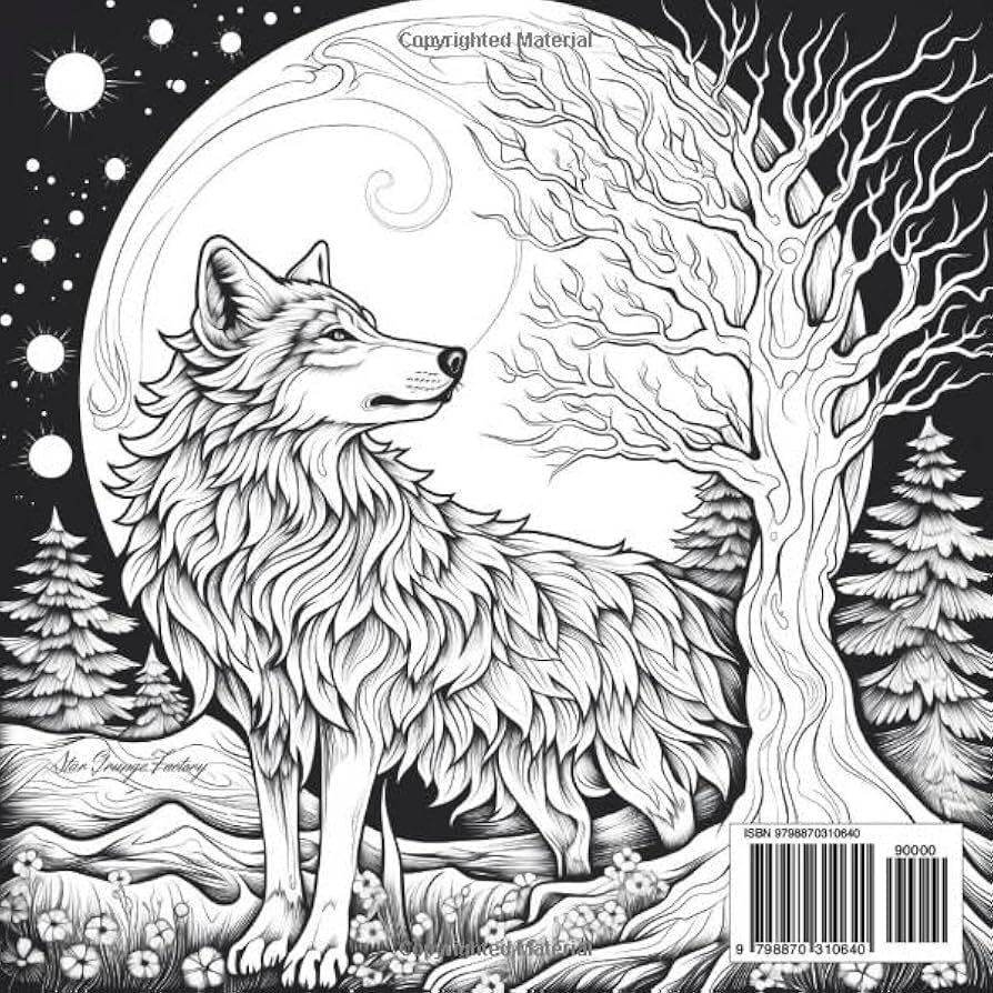 Amazon Wolves Of The Aurora A Fantasy Coloring Book About Wolves 9798870310640 Star Grunge Factory Books