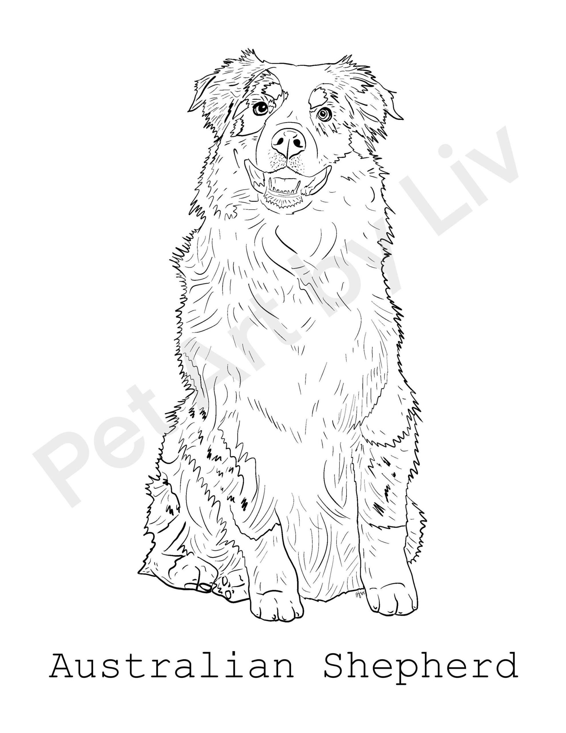 Australian Shepherd Coloring Page Etsy Denmark