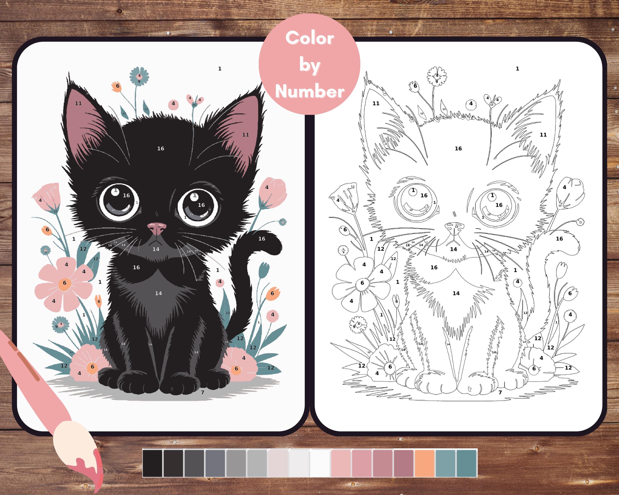 black cat color page