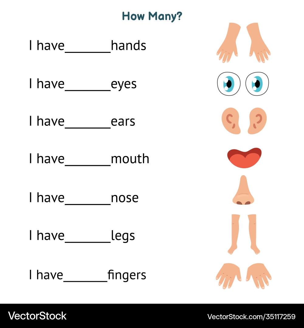 body parts handout