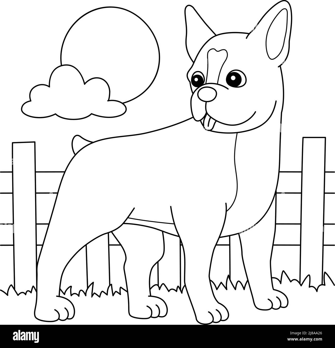 Boston Terrier Dog Coloring Page For Kids Stock Vector Image Art Alamy