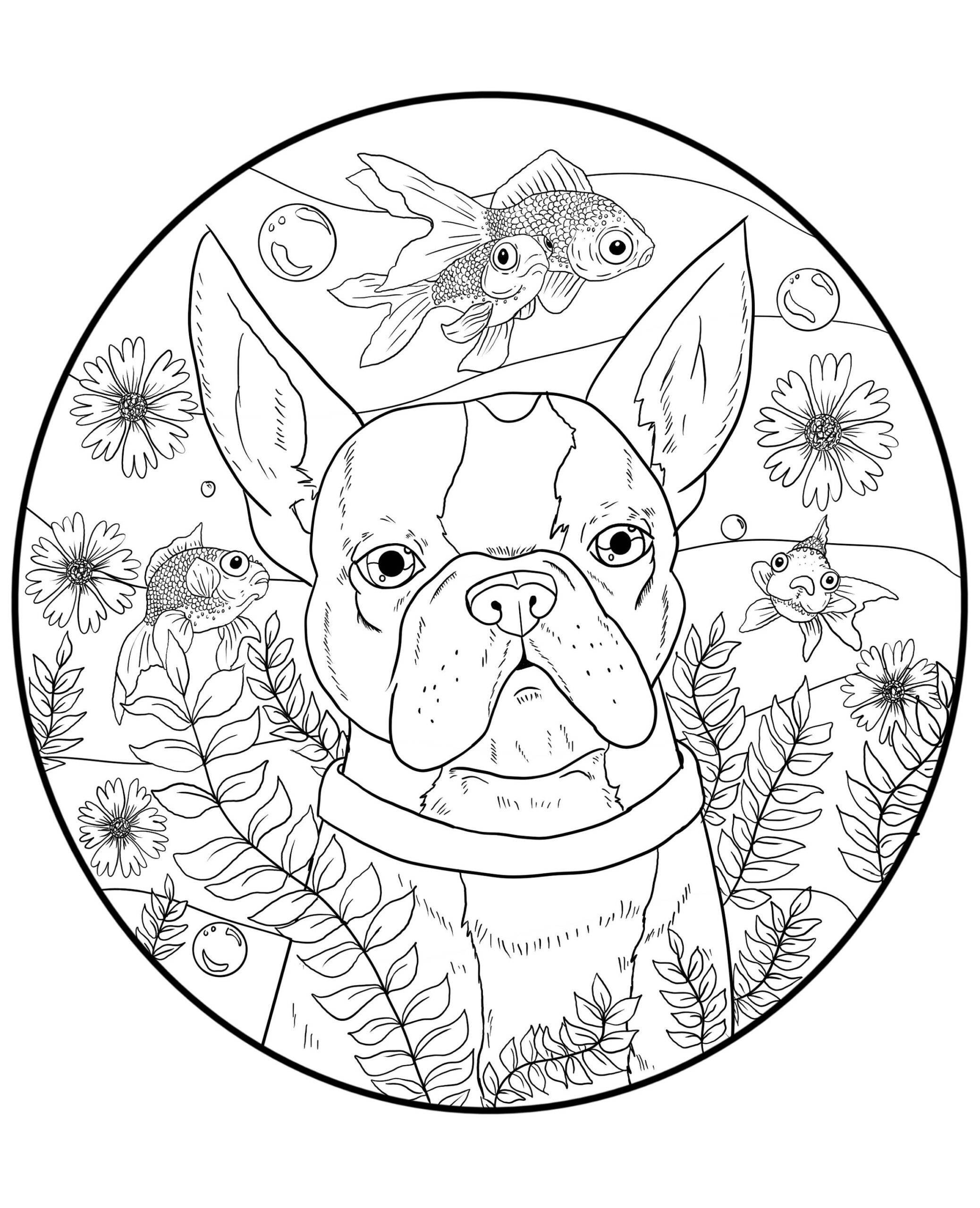 Boston Terrier Downloadable Coloring Page Etsy