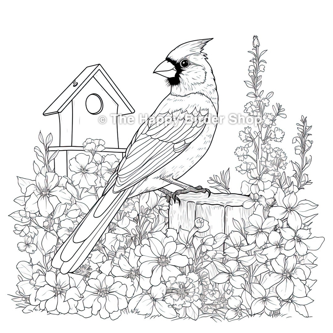 Cardinal Coloring Page Printable JPG Nature Lovers Instant Download Stress Relief 300 DPI Etsy