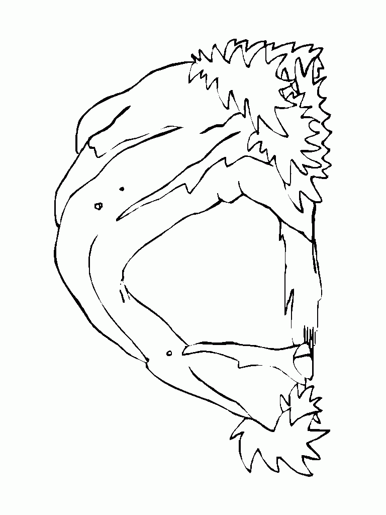 Color Page For Spider And Soldier In Cave Printable Free Printable