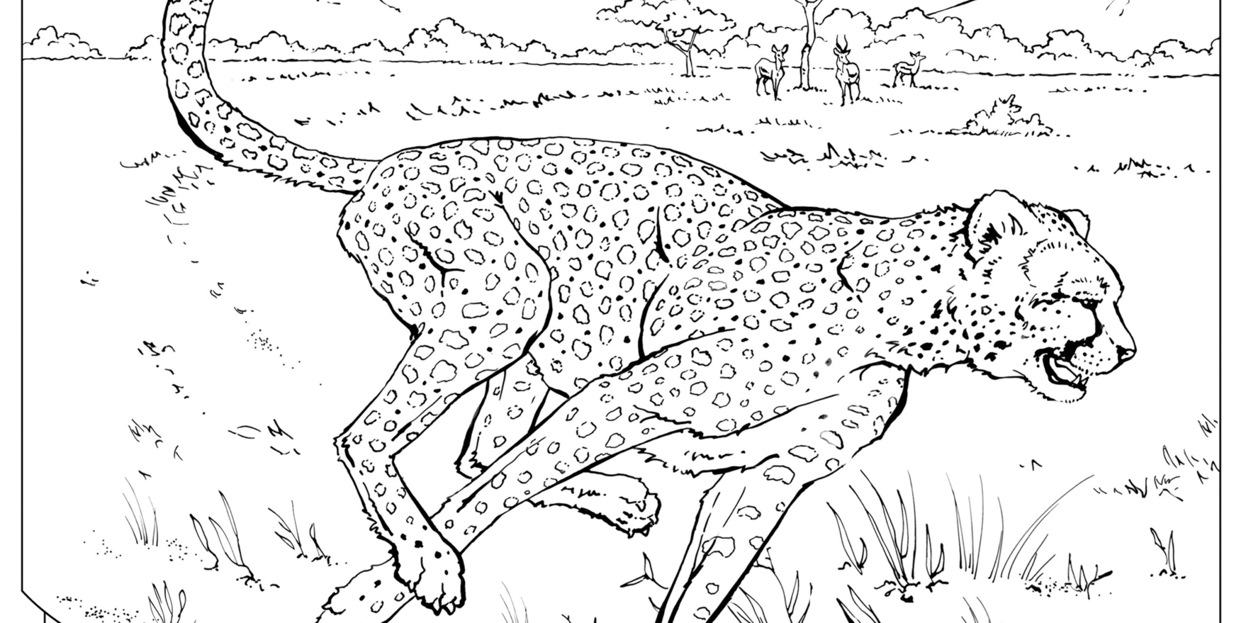 Coloring Book Animals A To I National Geographic Kids