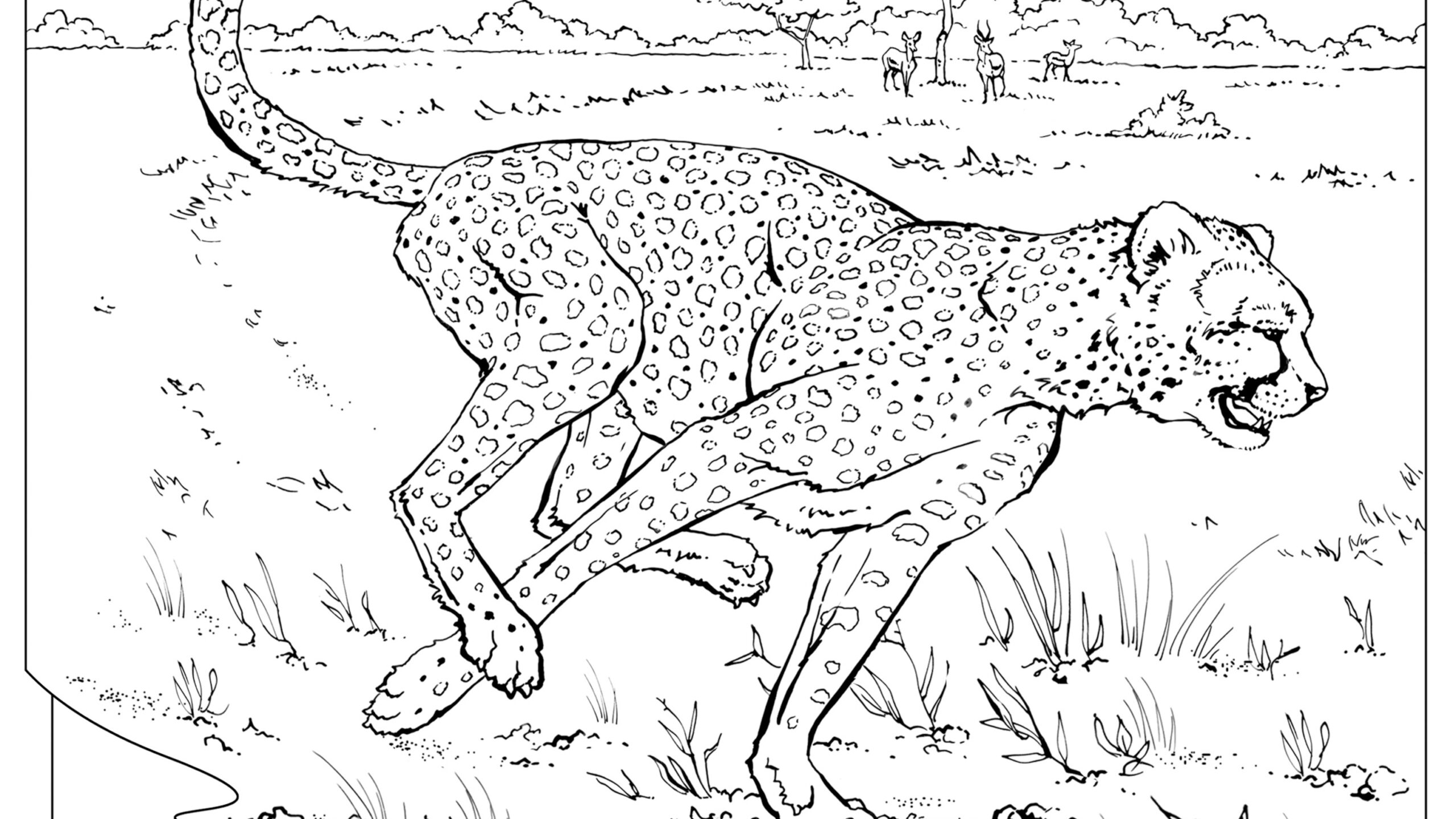 Coloring Book Animals A To I Worksheets Library