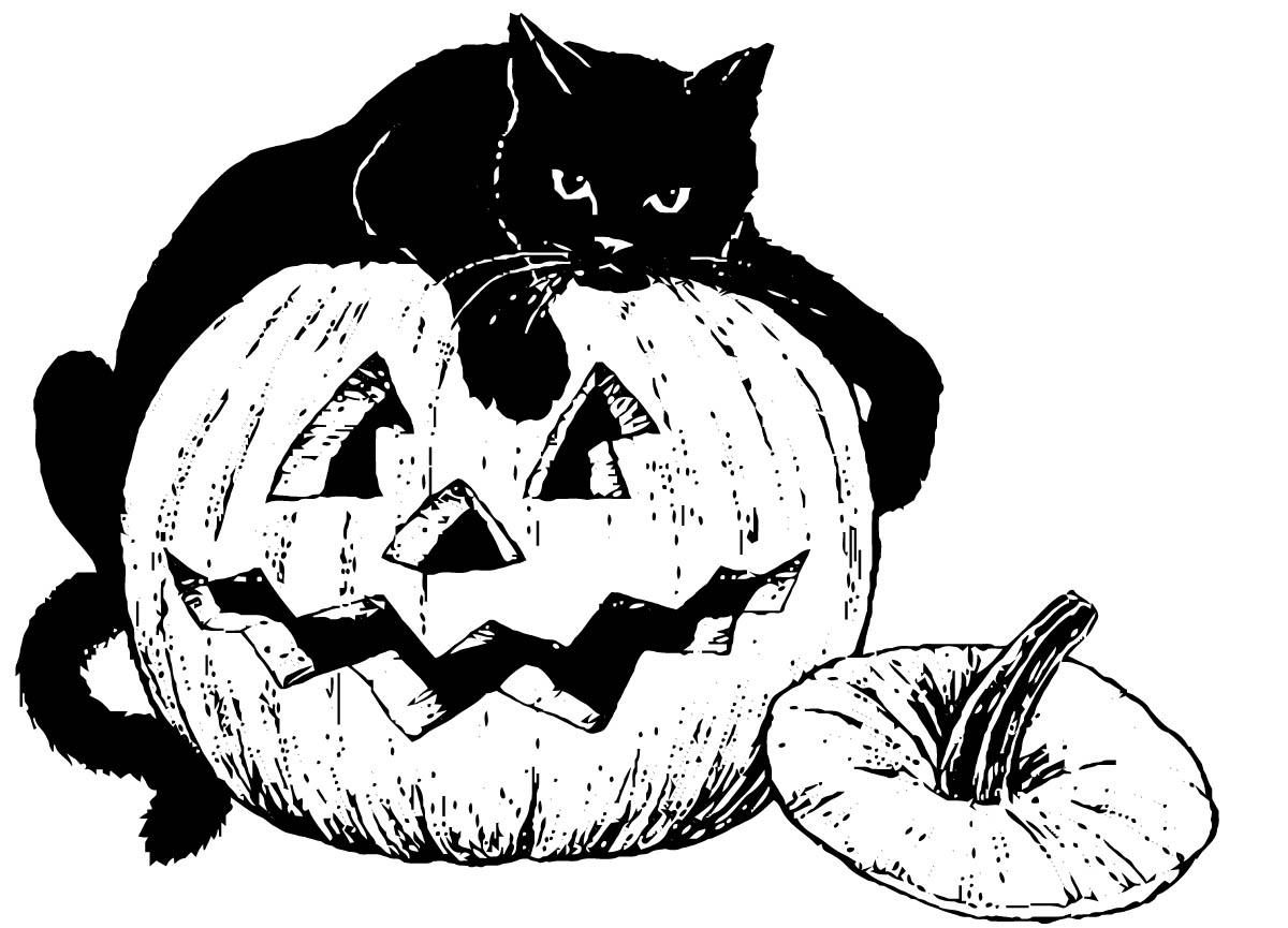 Coloring Page Black Cat On Pumpkin Free Printables Img 16101