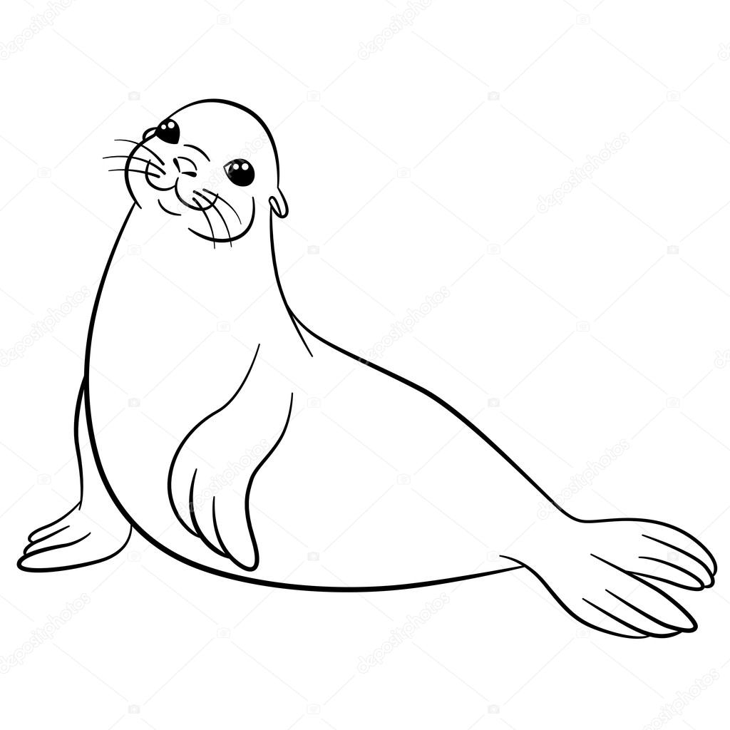 Coloring Pages Little Cute Fur Seal Smiles Stock Vector By ya mayka 116839616