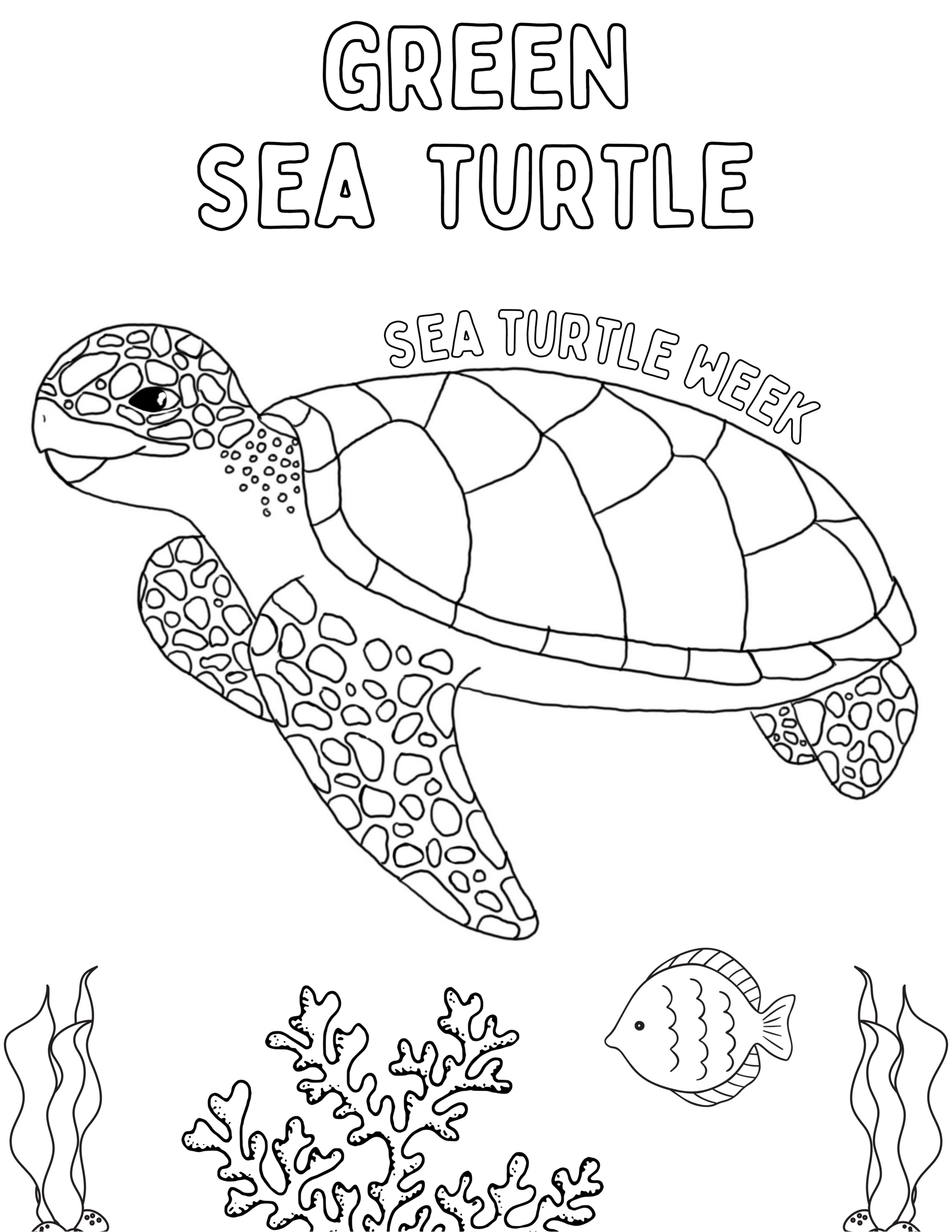 Coloring Sheets SeaTurtleWeek