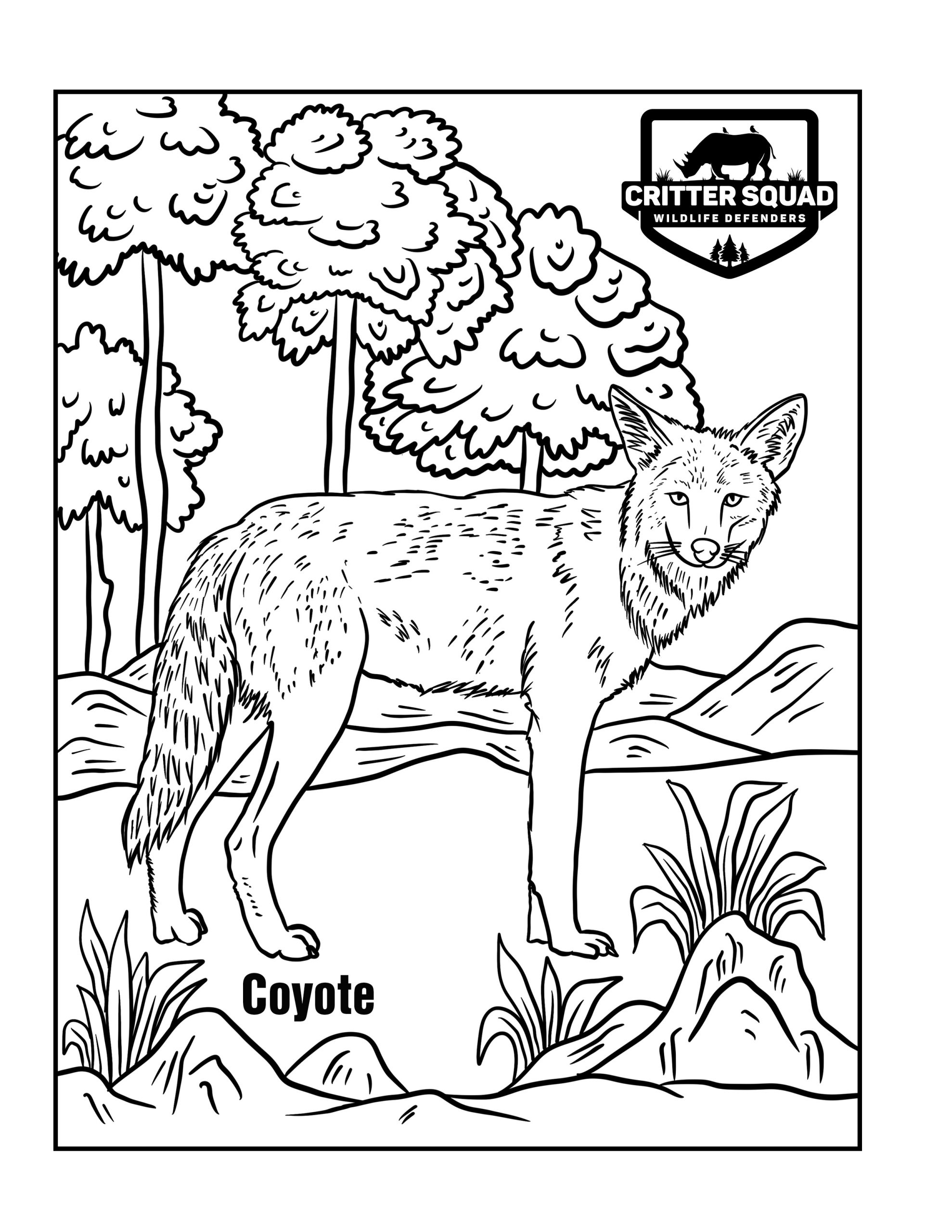 Coyote Coloring Page C S W D