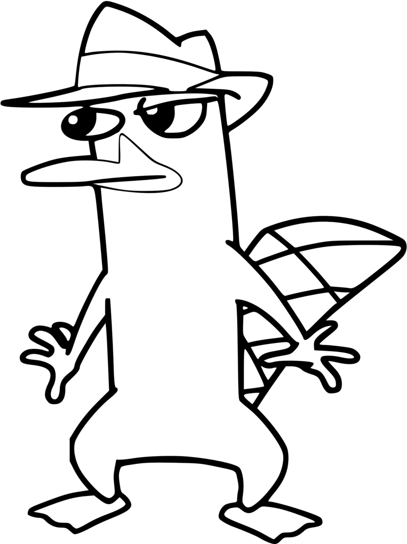 Download Hurry Platypus Coloring Pages Perry The Platypus Cartoon Drawing PNG Image With No Background PNGkey