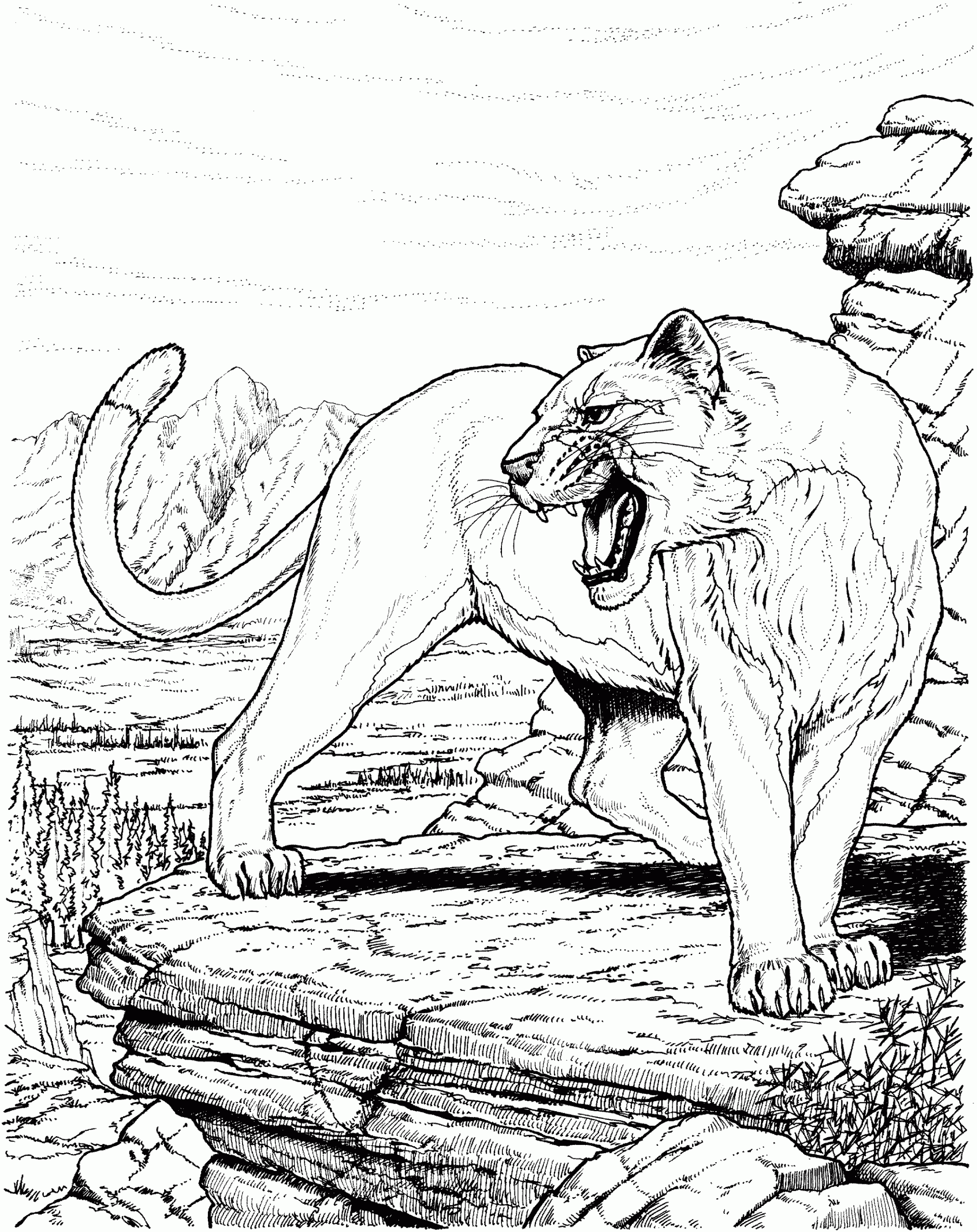 Free Panther Coloring Pages