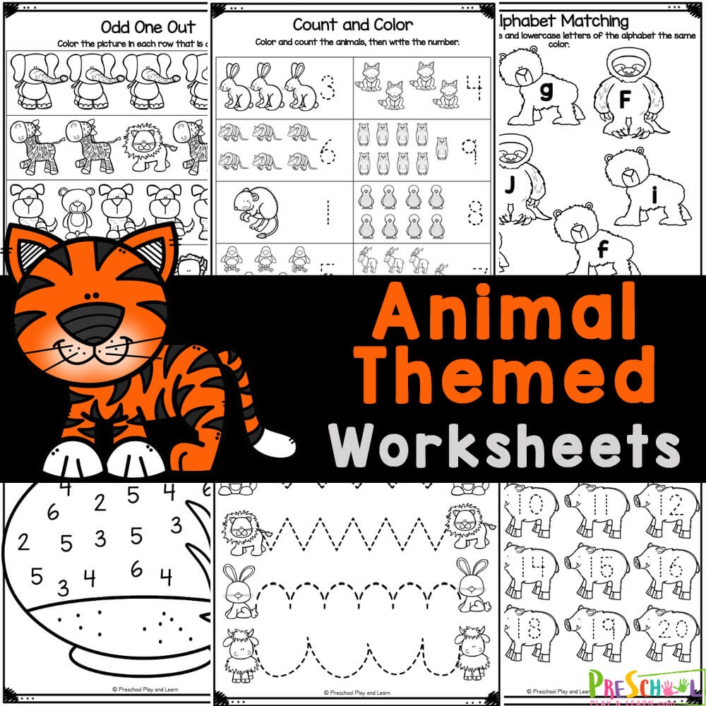 animal activity sheets