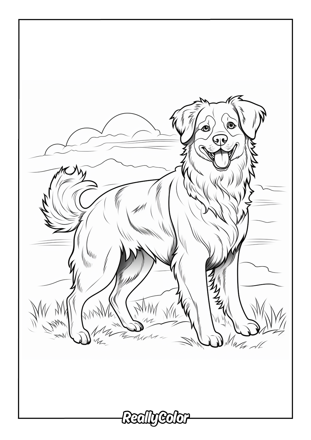 Free Printable Australian Shepherd Coloring Pages