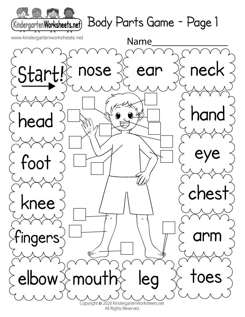 Free Printable Body Parts Game Worksheet