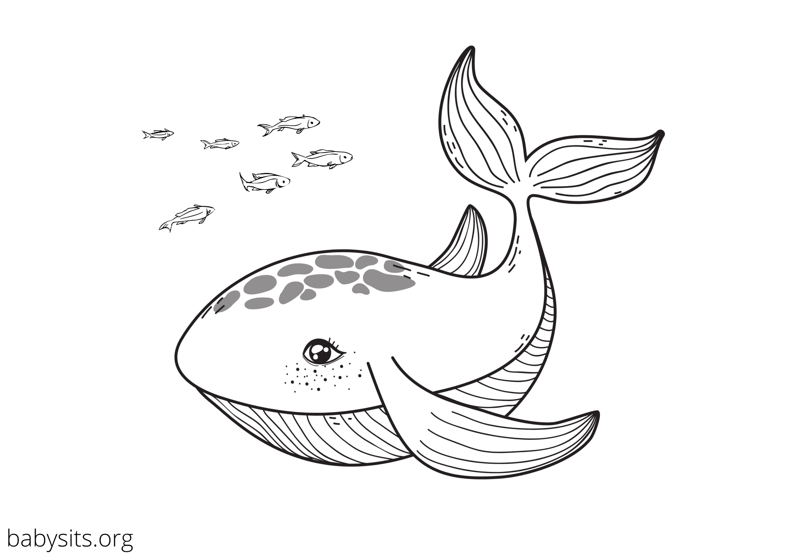 ocean creatures coloring pages