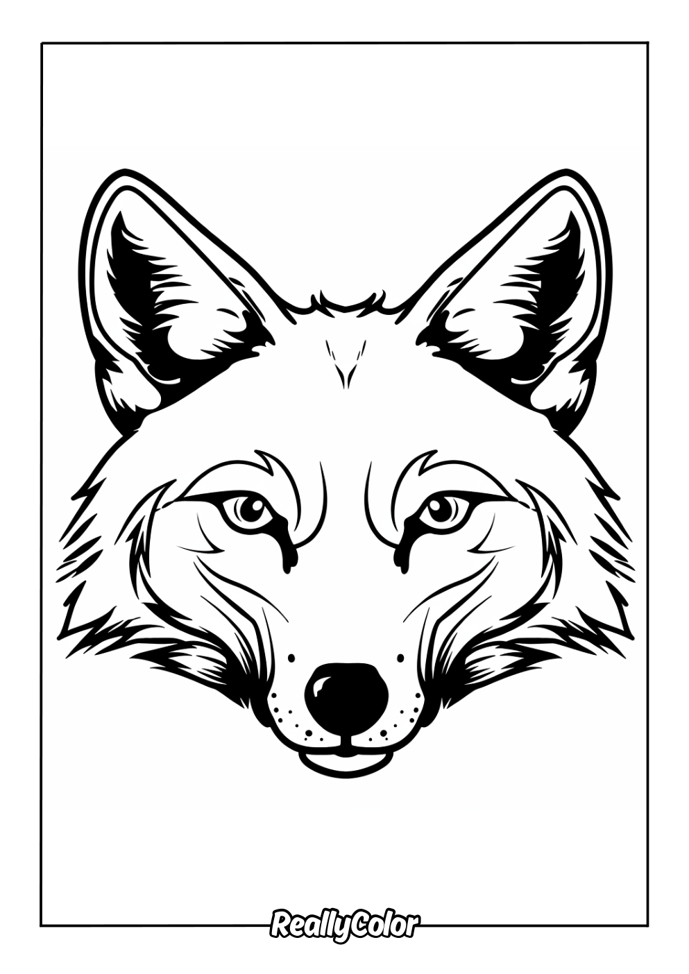 Free Printable Coyote Coloring Pages
