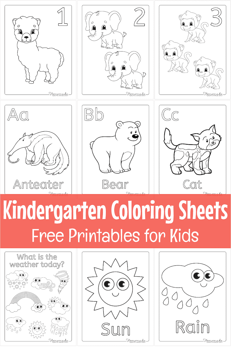 colouring worksheet for kg