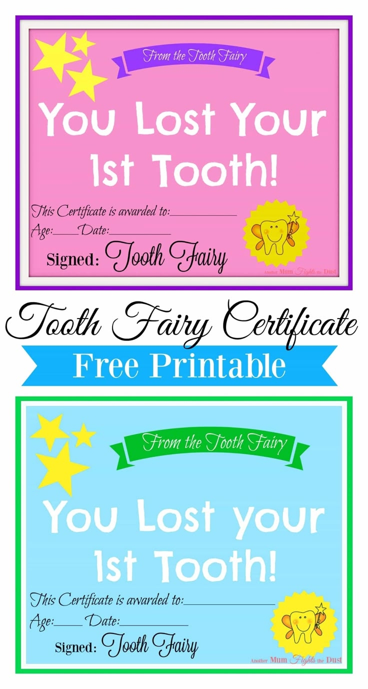 Free Printable Tooth Fairy Certificate Free Printable Tooth Fairy Certificate