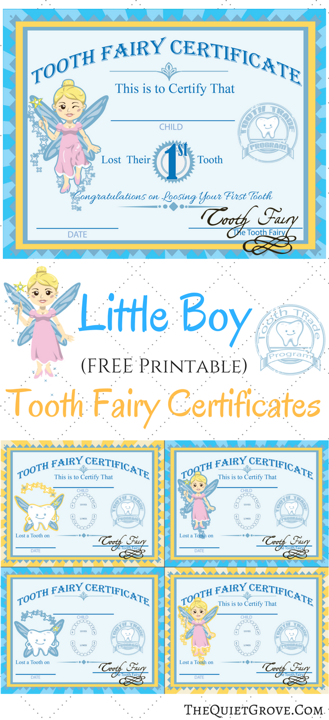Free Printable Tooth Fairy Certificates The Quiet Grove Free Printable Tooth Fairy Certificates The Quiet Grove
