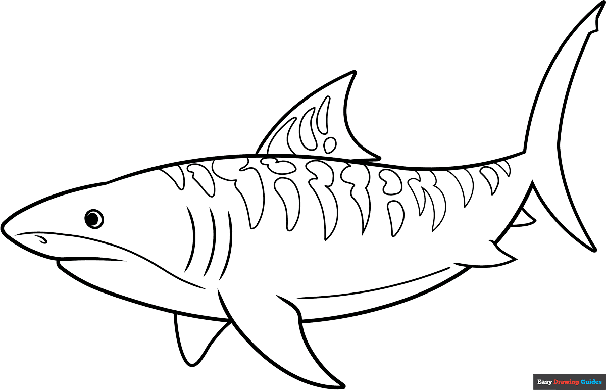coloring pages of a shark