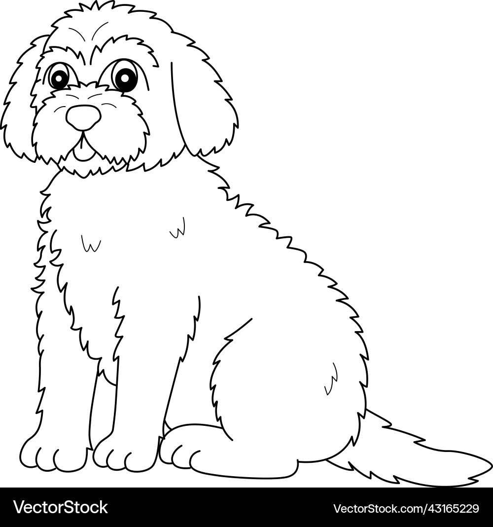 Goldendoodle Dog Isolated Coloring Page For Kids Royalty Free Vector VectorStock