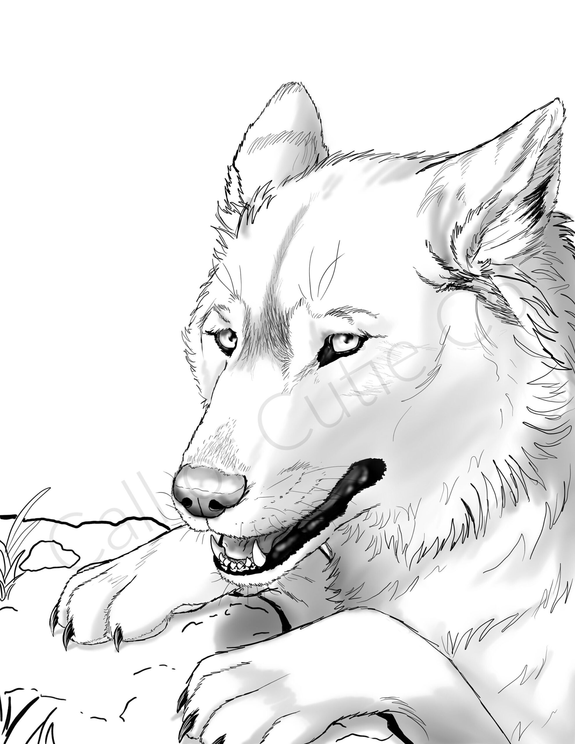 Gray Wolf Color Page digital Wolf Coloring Pages animal Coloring Pages Etsy