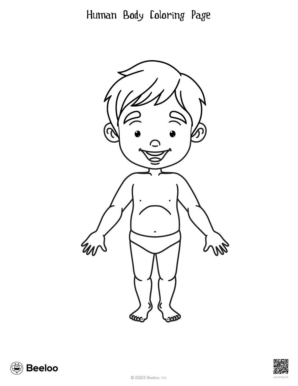 Human Body Coloring Page Beeloo Printable Crafts And Activities For Kids