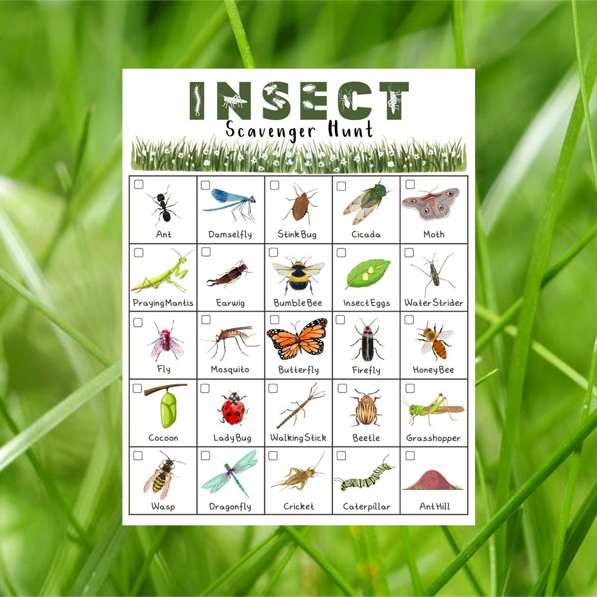 Insect Scavenger Hunt For Kids Printable Instant Download Etsy