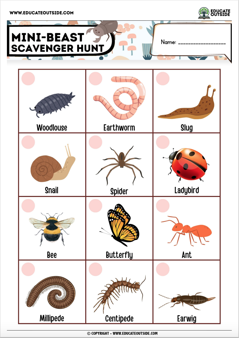 Insect Scavenger Hunt Free Download