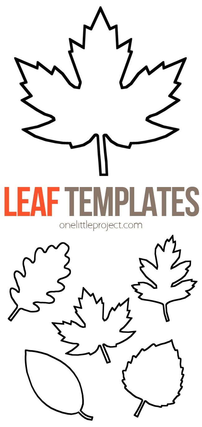 Leaf Template Free Printable Leaf Outlines One Little Project Leaf Template Free Printable Leaf Outlines One Little Project