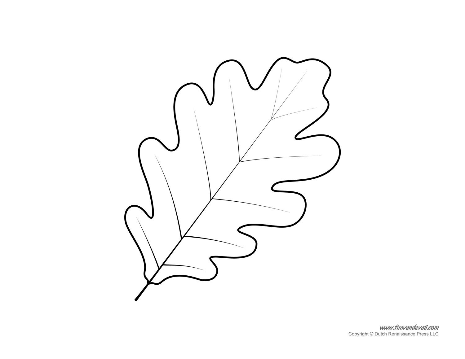 Leaf Template Tim s Printables Leaf Template Tim s Printables