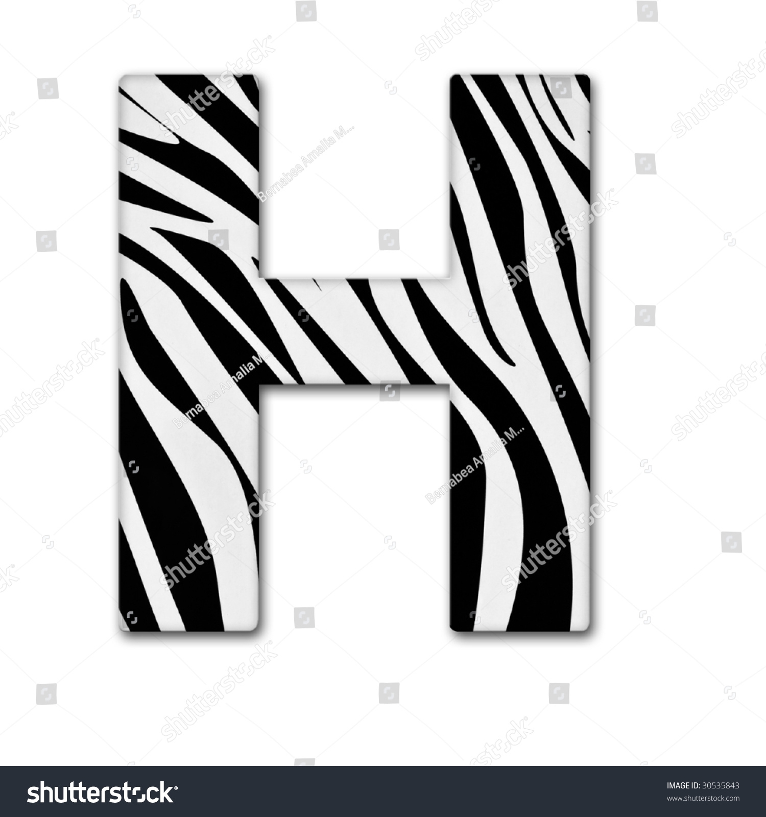 Letter H Alphabet Made Animal Print Stock Illustration 30535843 Shutterstock