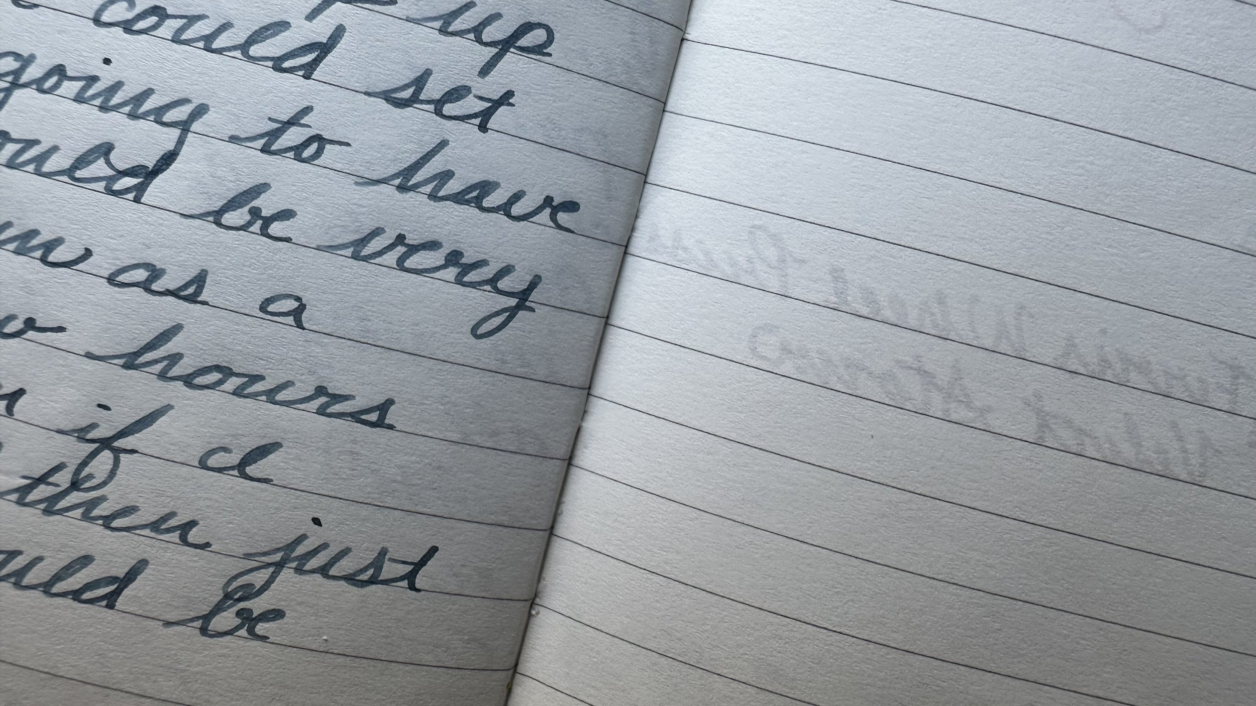 Lined Paper Love It Can t Leave It Dime Novel Raven