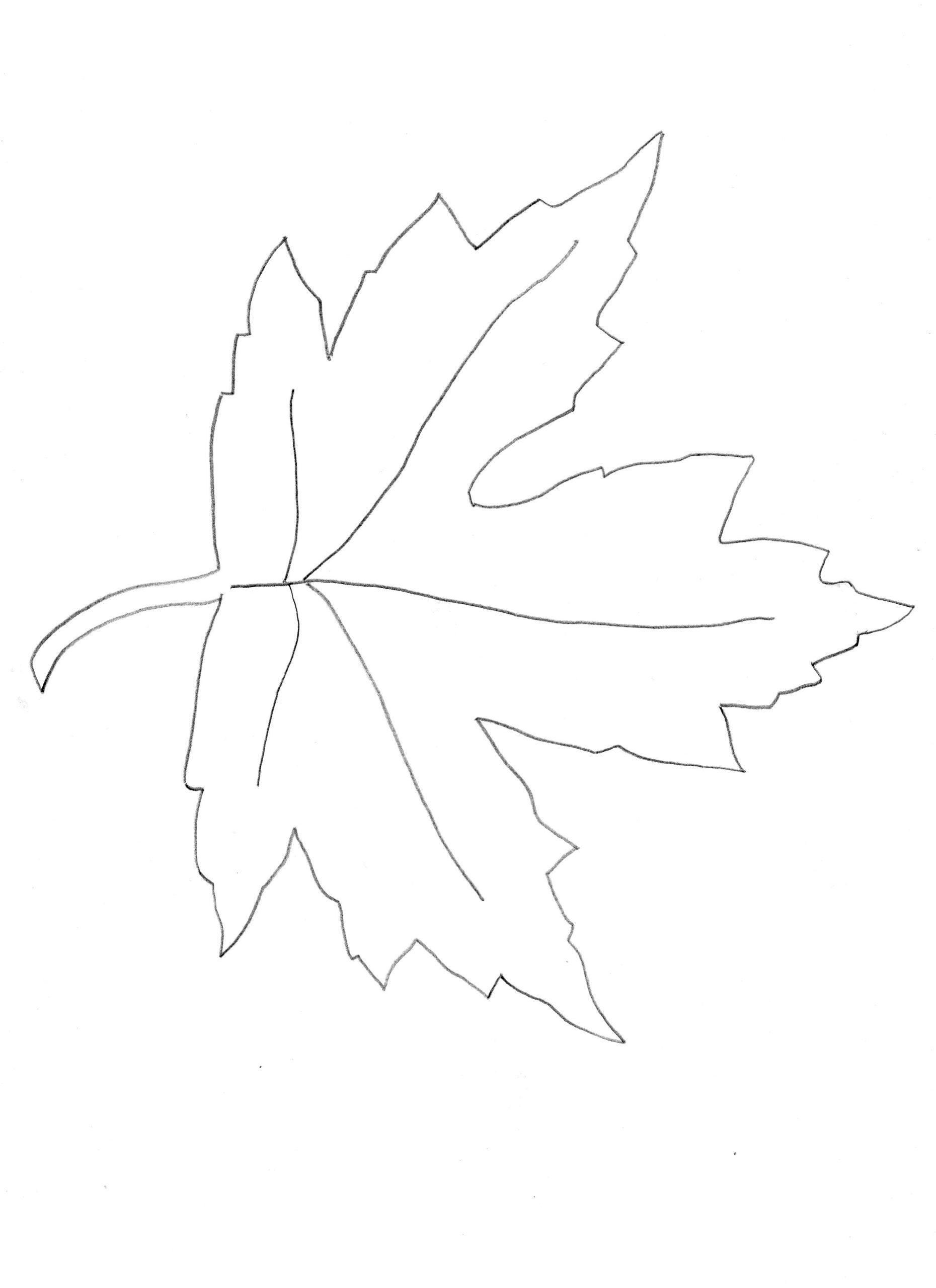template of a leaf template of a leaf