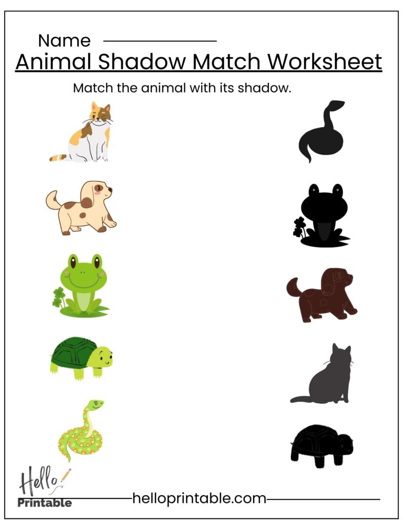 Matching Worksheets For Kindergarten And Preschool Kids Helloprintable