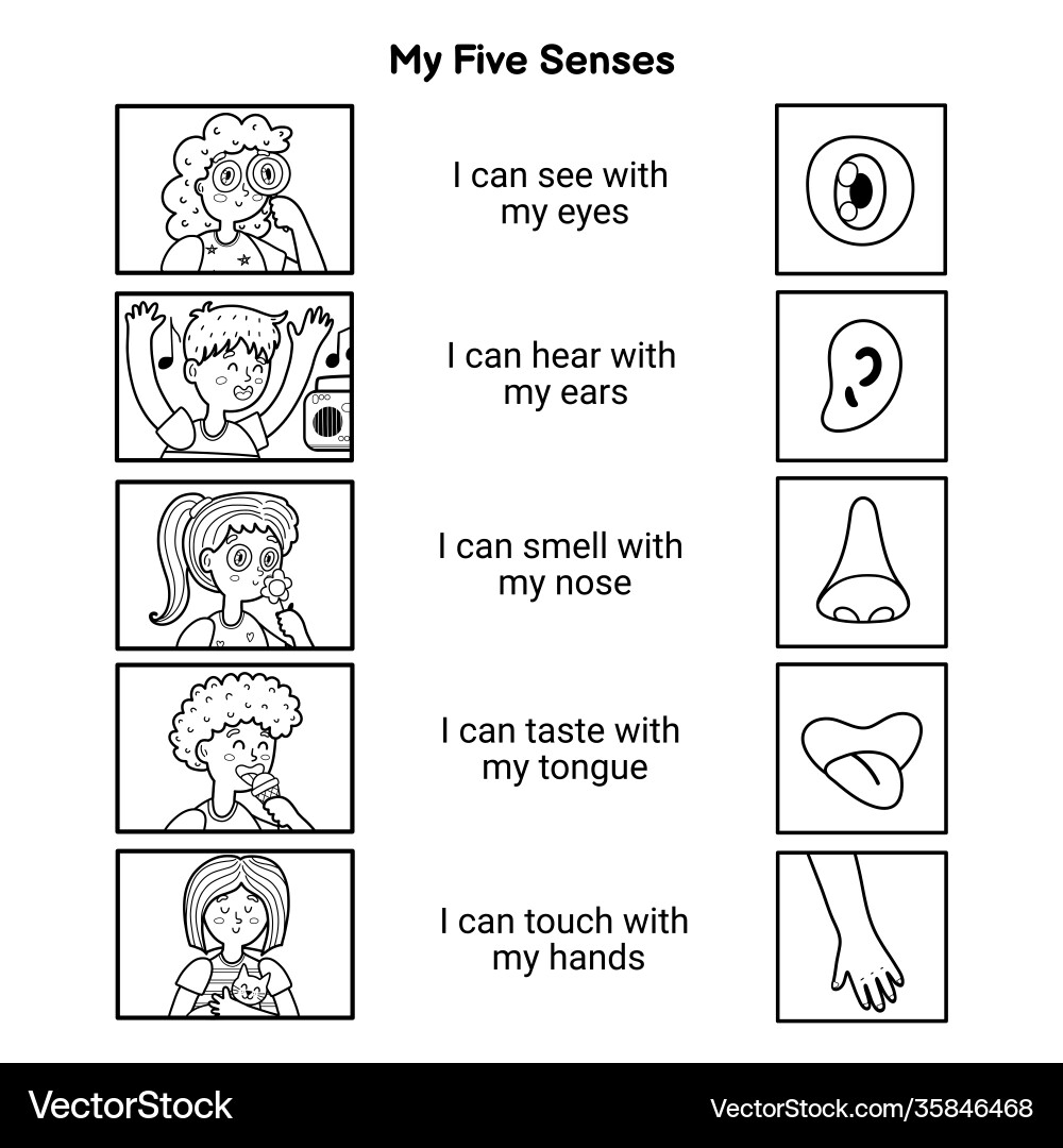 My Five Senses Coloring Page Royalty Free Vector VectorStock