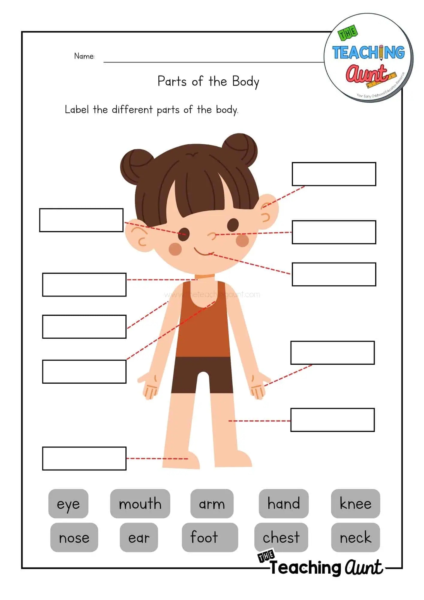 Parts Of The Body Worksheets The Teaching Aunt