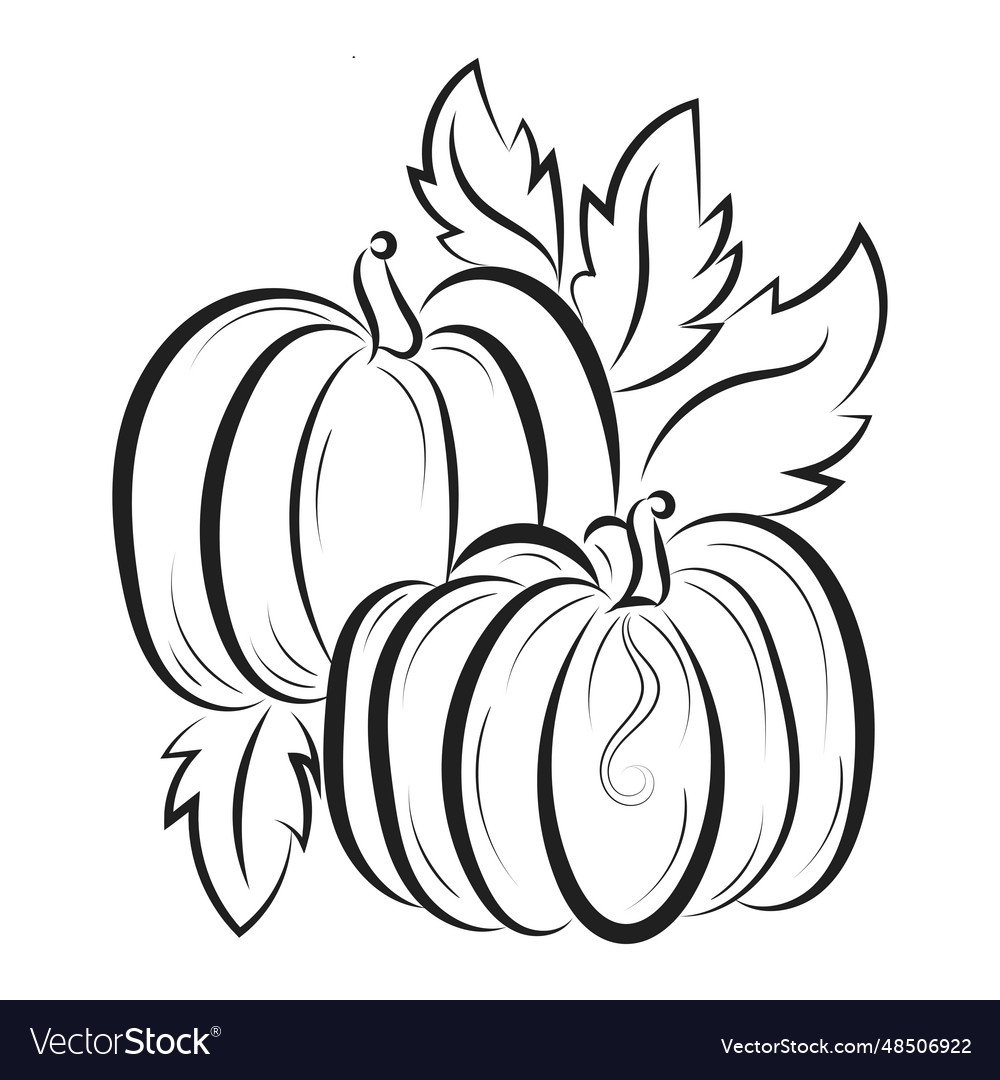 printable coloring pages pumpkins