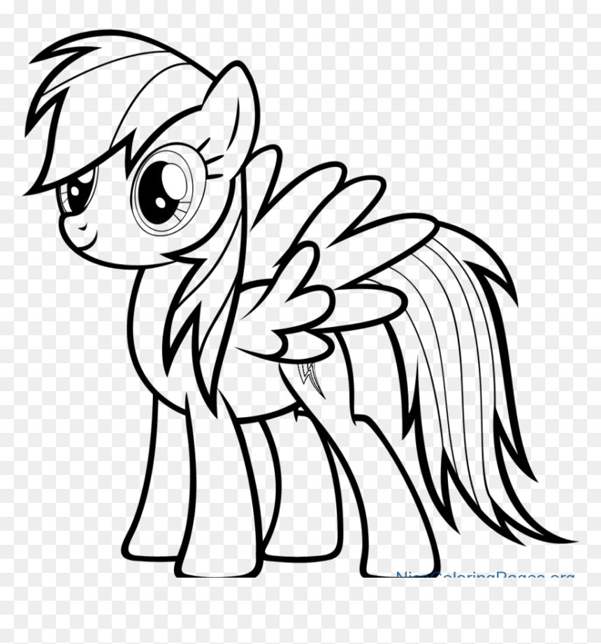 Rainbow Dash Photo Drawing Mlp Coloring Pages Rainbow Dash HD Png Download Vhv Rainbow Dash Photo Drawing Mlp Coloring Pages Rainbow Dash HD Png Download Vhv